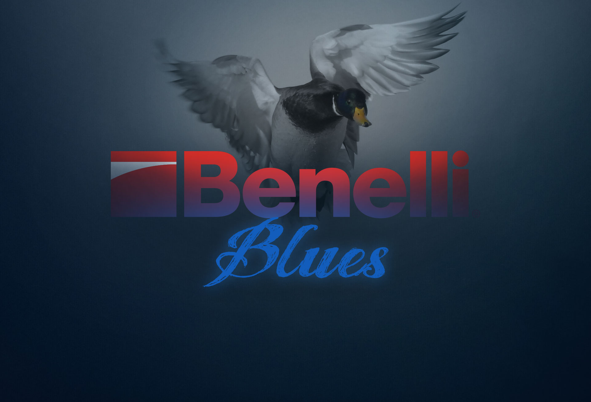 Benelli Blues